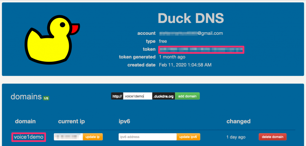 Duck DNS token and domain